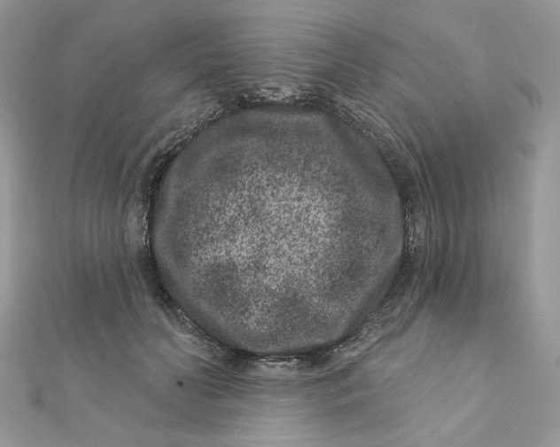 X0000111870606200908131613