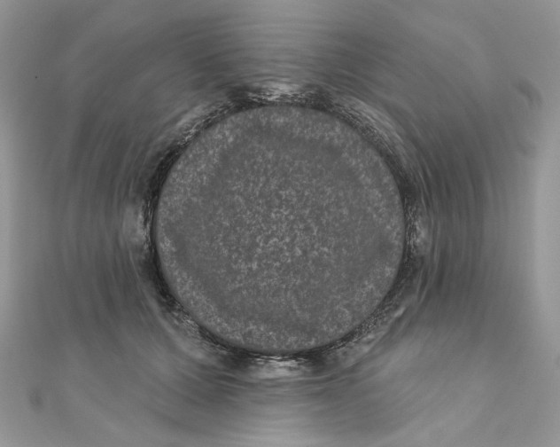 X0000111870607200908131613