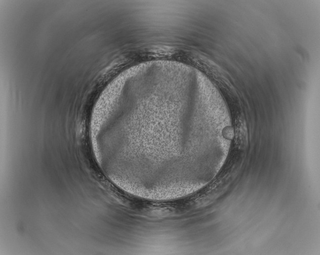 X0000111870608200908131613