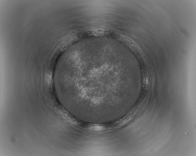 X0000111870610200908131613