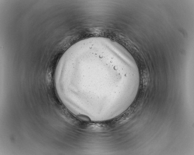 X0000111870611200908131613