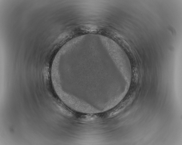 X0000111870612200908131613