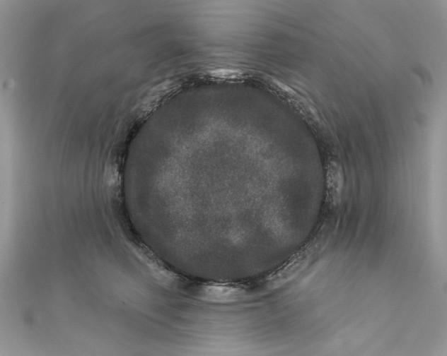 X0000111870614200908131613