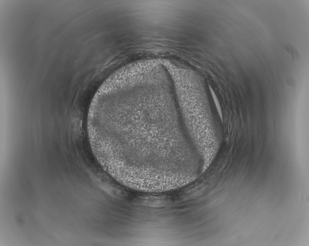 X0000111870615200908131613