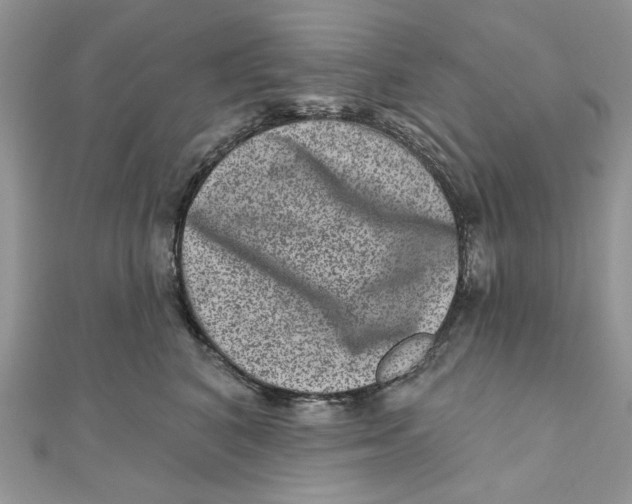 X0000111870616200908131613