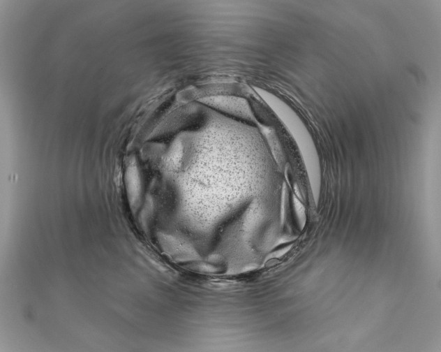 X0000111870617200908131613