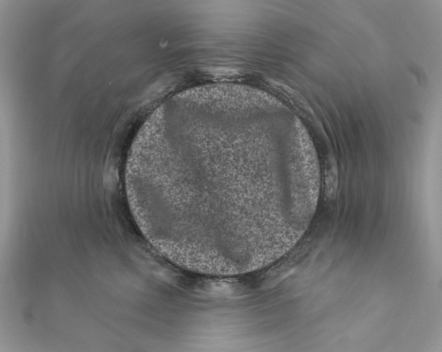 X0000111870618200908131613