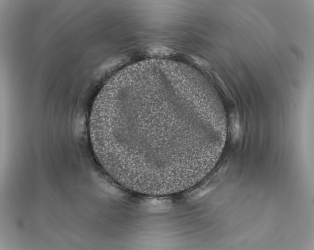 X0000111870619200908131613