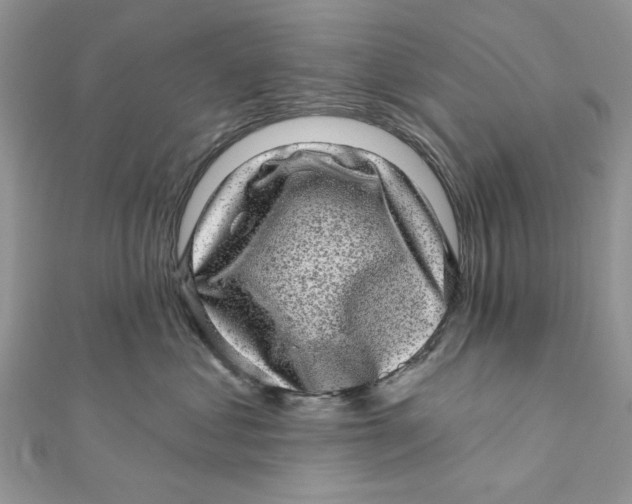 X0000111870621200908131613