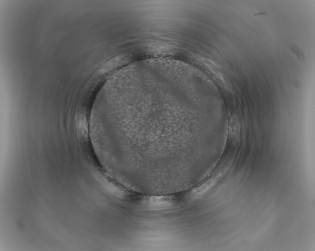 X0000111870622200908131613