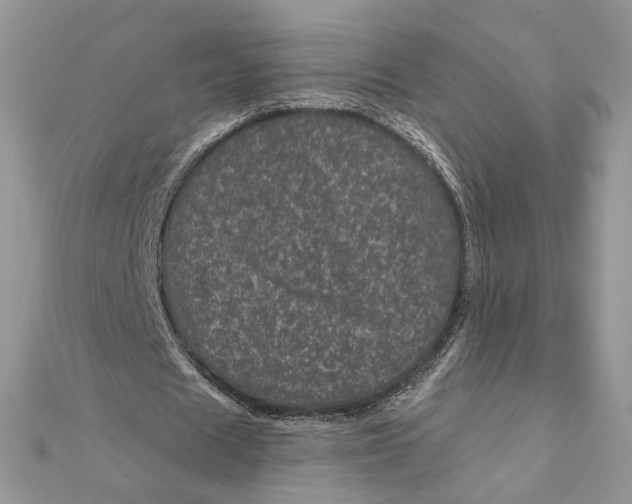 X0000111870625200908131612