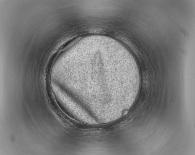 X0000111870626200908131612