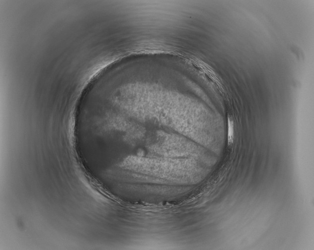 X0000111870627200908131612