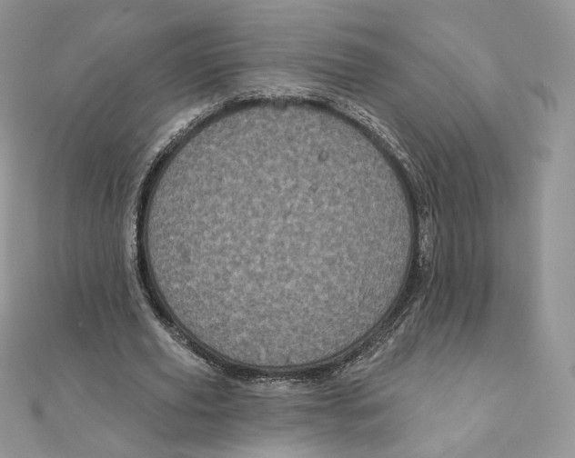 X0000111870629200908131612