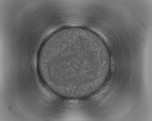 X0000111870631200908131612