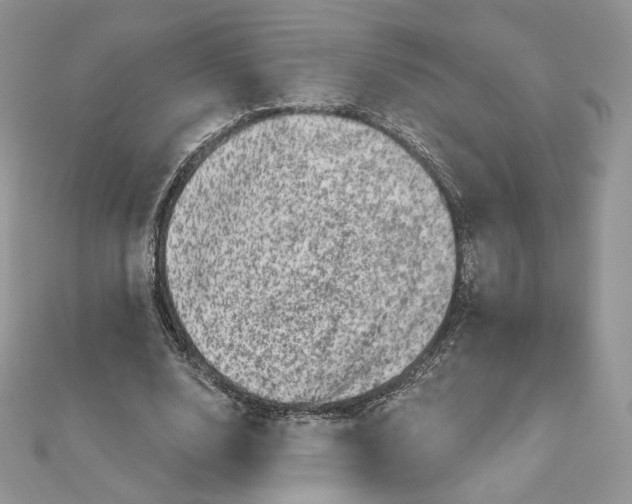 X0000111870632200908131612