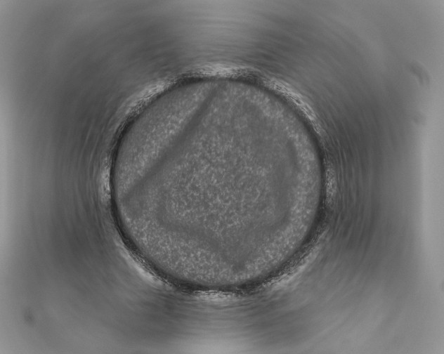 X0000111870633200908131612