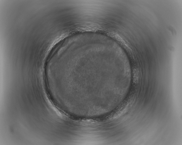 X0000111870634200908131612