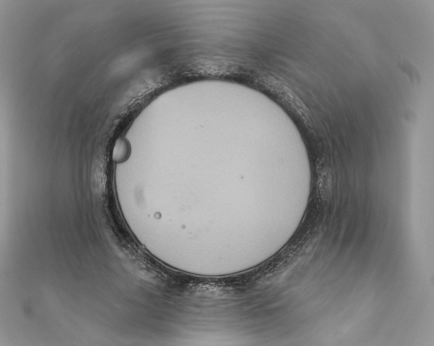 X0000111870635200908131612