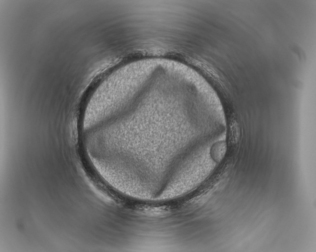 X0000111870638200908131612