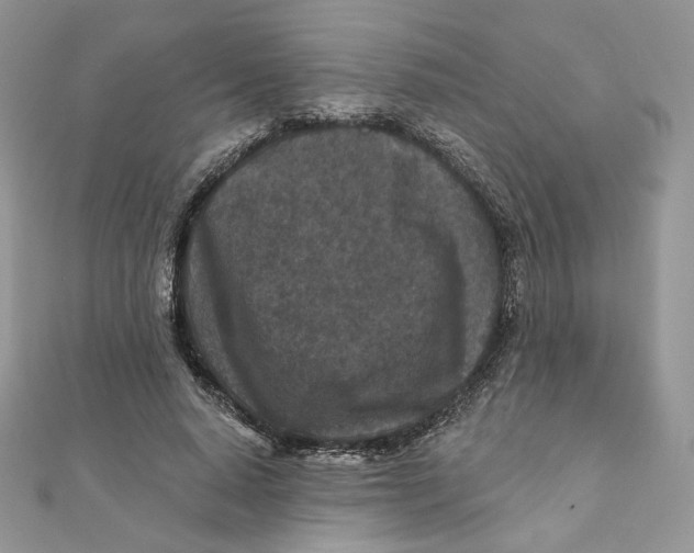 X0000111870640200908131613