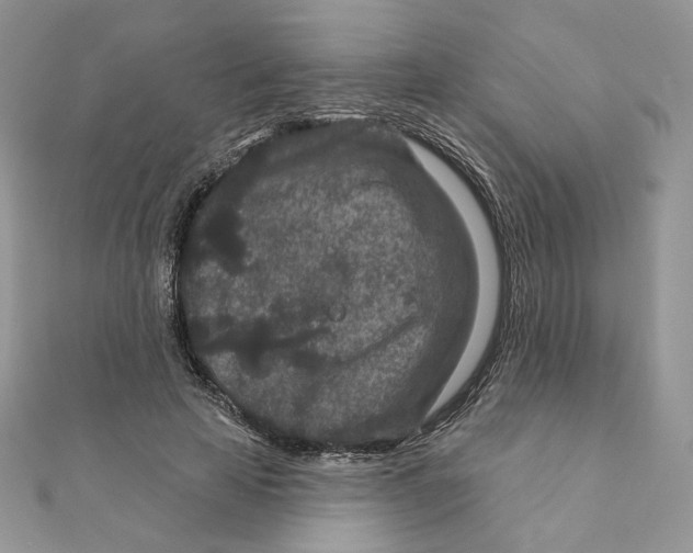 X0000111870641200908131613