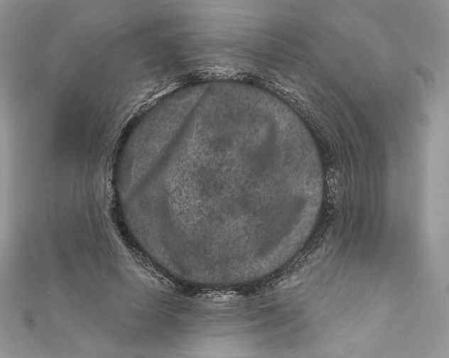 X0000111870642200908131613