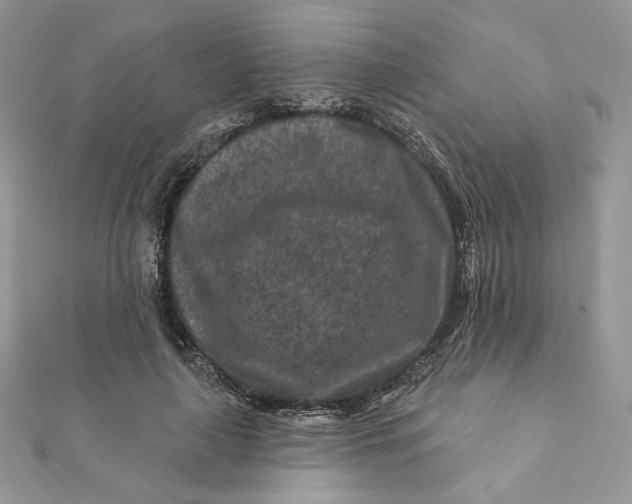 X0000111870643200908131613