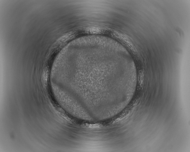 X0000111870645200908131613