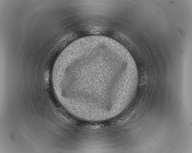 X0000111870646200908131613