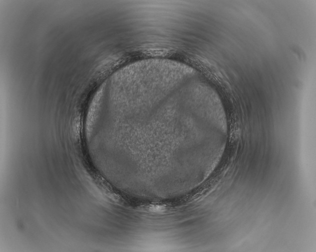 X0000111870647200908131613