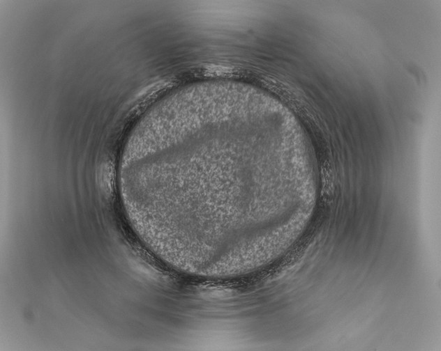 X0000111870648200908131613