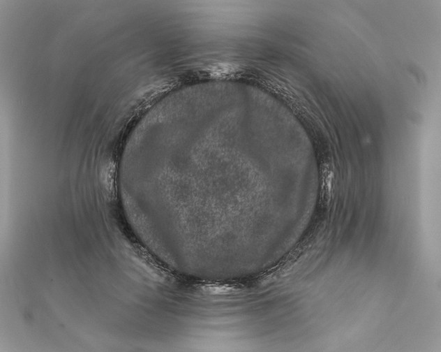 X0000111870650200908131613