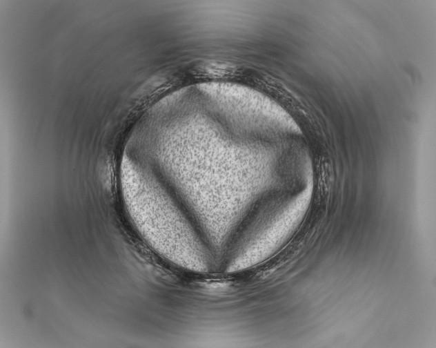 X0000111870651200908131613