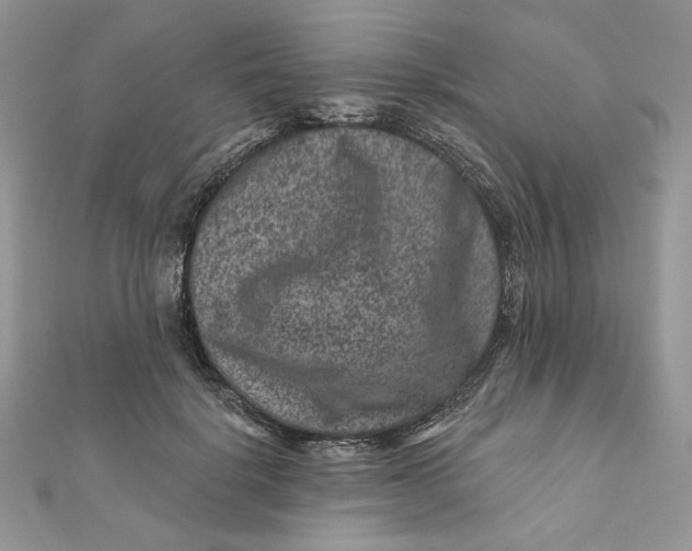 X0000111870652200908131613