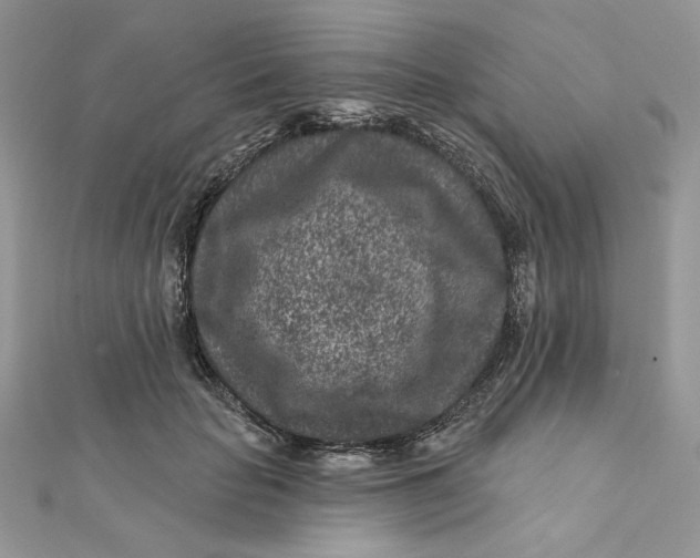 X0000111870653200908131613