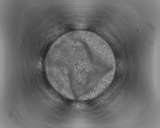 X0000111870655200908131613