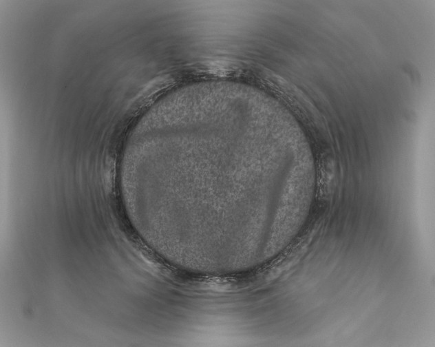 X0000111870656200908131613