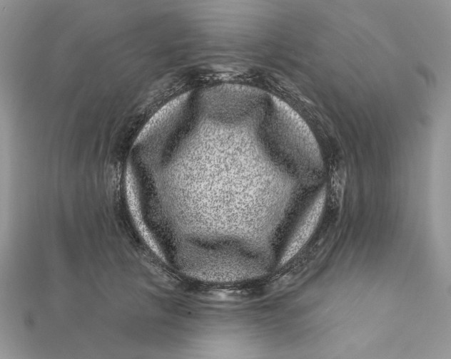 X0000111870657200908131613