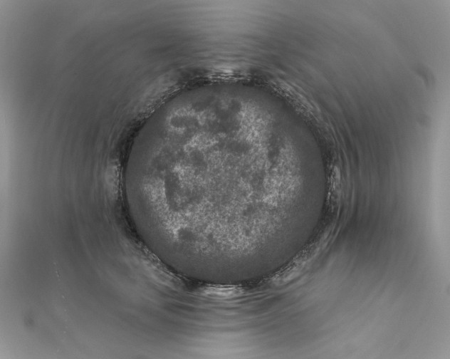 X0000111870659200908131613