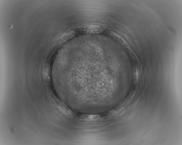 X0000111870663200908131613