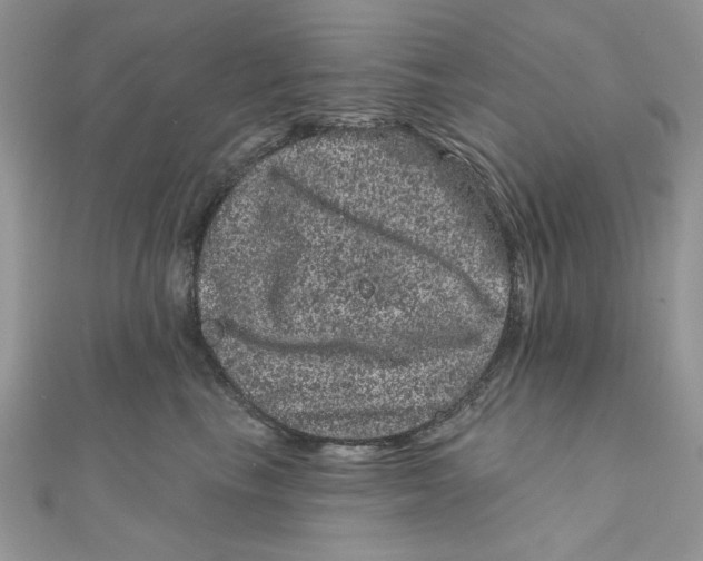 X0000111870665200908131613