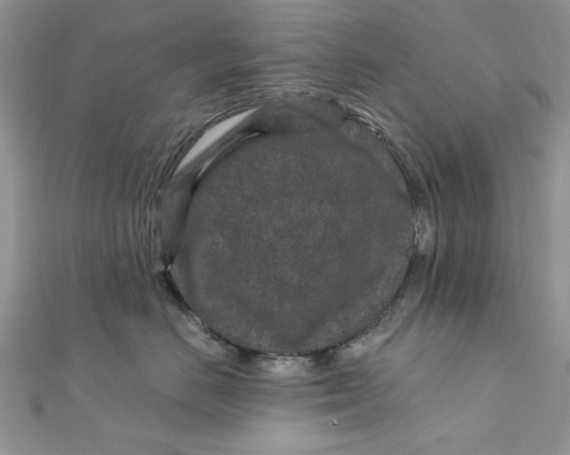 X0000111870670200908131613