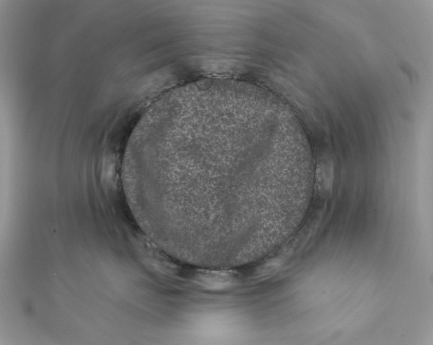 X0000111870671200908131613