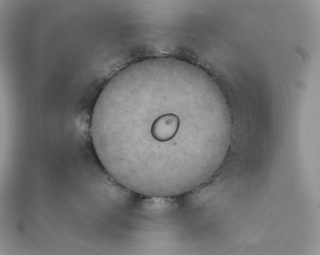 X0000111870672200908131613