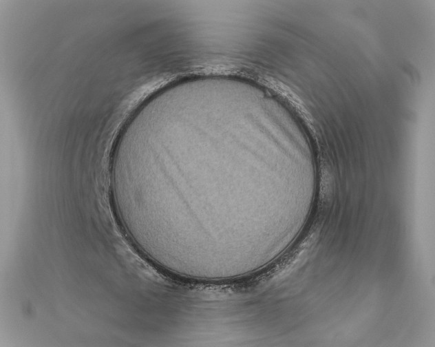 X0000111870673200908131612