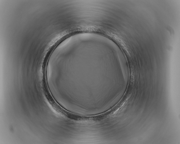 X0000111870674200908131612