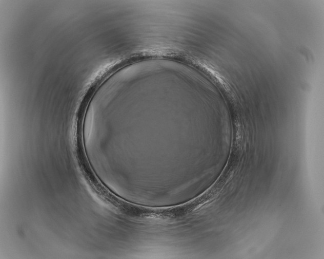 X0000111870678200908131612