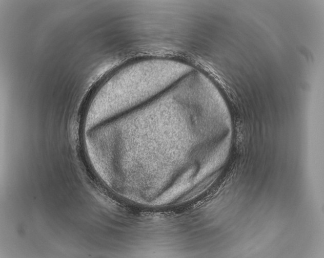 X0000111870679200908131612