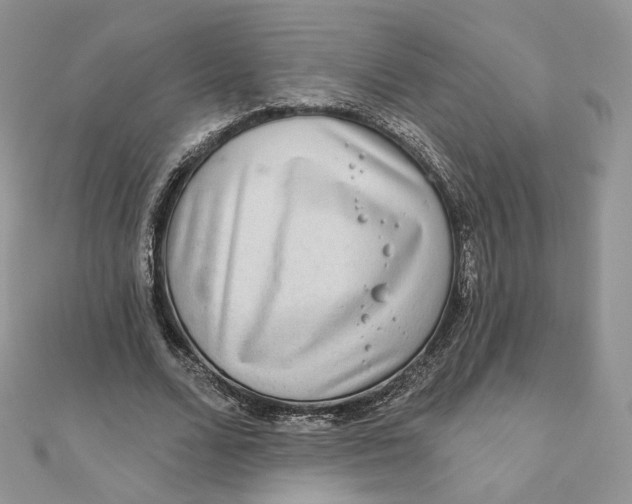 X0000111870680200908131612